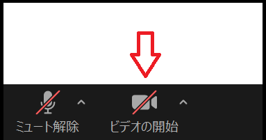 zoomビデオホスト参加者002